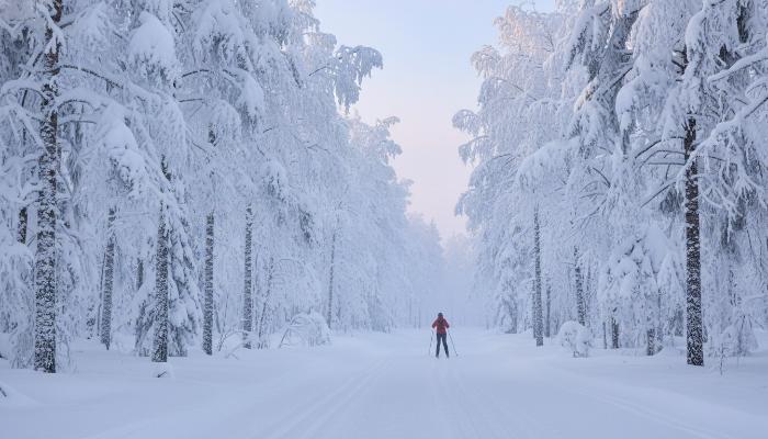 ТОП-8 мест для катания на лыжах в Казани
