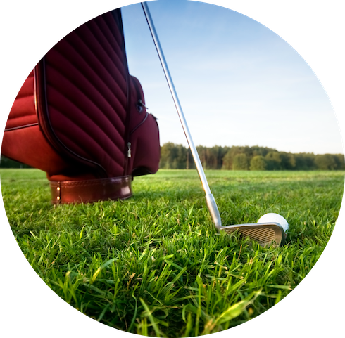 bag-with-golf-clubs-seen-from.png