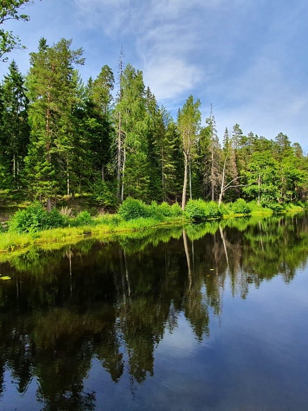 Туры в Карелию